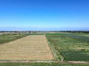 Finca 76 Ha Lavalle A 5 Min De Villa Tulumaya