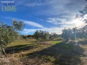 FINCA A 5 MINUTOS DE RONDA