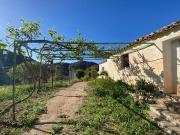 FINCA AGRARIA REGADIO CON CORTIJO PARA REFORMAR