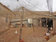 FINCA AGRICOLA CON CASA EN LOS BELONES