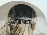 Finca agrícola en plena producción con agua propia y...