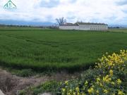 Finca Agrícola en Venta en La Granada, Granada