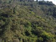 FINCA AGROINDUSTRIAL, ECOLOGICA O RECREATIVA EN BARBOSA...