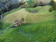Finca agroindustrial ubicada en el Municipio de La Unión...