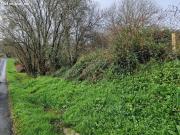 FINCA AMPLIA Y SOLEADA EN ZONA DE OS ANXELES