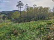 FINCA BUEN PRECIO ZONA DE TRASMONTE, AMES