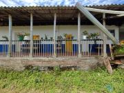 FINCA CAFETERA EN VENTA/VEREDA ALTO ALEGRIAS/PEREIRA