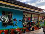 Finca cafetera, sector Pital de Combia, Pereira