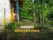 FINCA CAICEDONIA VALLE 10 CUADRAS 4905