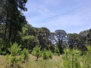 Finca Campestre a un precio inigualable, Precio especial...