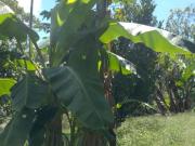 Finca campestre en venta el peñol, antioquia