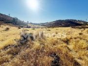 FINCA CHARNECA · 30 hectáreas con manantial, vallado y...