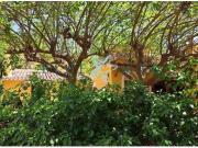 FINCA CON 2 CASAS EN SIERRA ESPUÑA