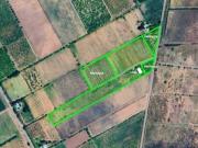 Finca con Casa en Real del Padre Linea de Goico