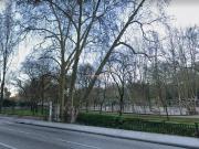 FINCA CON CASA PARA REFORMAR SE PUEDE HACER UN EDIFICIO...