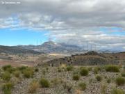 FINCA CON CASA REFORMADA Y 100.000 m2 de terreno