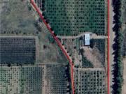 Finca con casas y producción