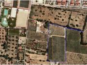 Finca con caseta de campo muy cerca del pueblo