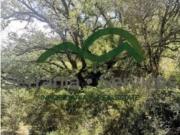 Finca con Cortijo y Nave a Reformar