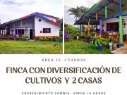 FINCA CON DIVERSIFICACION DE CULTIVOS Y 2 CASAS REF 4884
