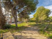 Finca con encanto y amplio terreno urbano en venta en...