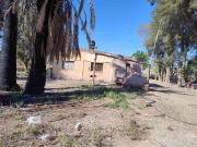 Finca con producción. Uva y Membrillos. 25 de mayo