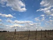 Finca con producción y casas