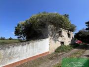 FINCA CON VISTAS A LA RIA, CASTROPOL