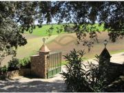 Finca con Vivienda, Naves, Olivar y Piscina