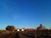 FINCA CON VIVIENDA Y PRODUCCION