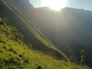 FINCA CON VOCACION PARA CULTIVO DE AGUACATE HASS AGUADAS