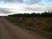 Finca Cortijo en Venta en Valdepeas