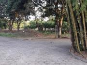 Finca cultivada con casa y pozo de agua dulce 7.5 has....