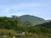 FINCA DE 1 HS EN EL SECTOR DEL PARQUE TAYRONA SANTA MARTA FINCA DE 1 HS EN EL SECTOR DEL PARQUE TAYRONA SANTA MARTA