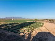Finca de 26740 m² de regadío en Alhama de Murcia con...