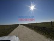 Finca de 286 ha llana parte de encinas y parte de labor,...