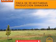 Finca de 30 hectáreas producción ganadera
