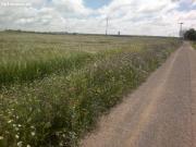 FINCA DE 40 HECTAREAS DE VIÑA Y TIERRA