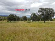 FINCA DE 4 FANEGAS CON NAVE