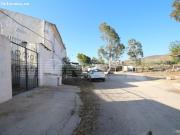 FINCA DE CAMPO CON CHALET, CASA ANTIGUA Y PLANTACION DE...