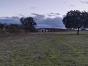 Finca de casi cinco hectáreas con una construcción de...