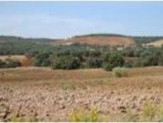 Finca de caza mayor en Corral de Calatrava Ciudad Real