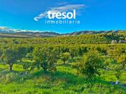 FINCA DE CITRICOS. 64.000M2, CON POZO PROPIO
