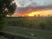 FINCA DE CULTIVO MECANIZADO