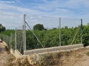 Finca de limoneros en activo¡