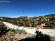 Finca de olivar con vivienda unifamiliar en plena...