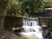 FINCA DE PRODUCCION TORO VALLE