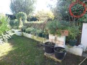 FINCA DE RECREO COMPLETAMENTE AMUEBLADA Y EQUIPADA,...