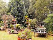 Finca de recreo en Venta Santa Elena Rionegro