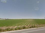 FINCA DE REGADÍO CON CASI 5.000 m²